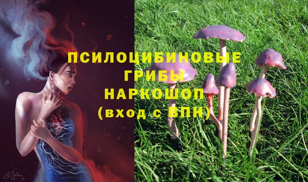 дурь Ижевск