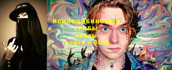 дмт Тихвин