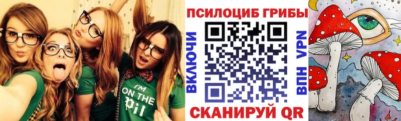 купить закладку  Ува  Псилоцибиновые грибы MAGIC MUSHROOMS 